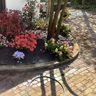 GARDEN 2000
