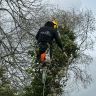 HOOG EN BOOM