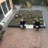 Groen service Sappemeer