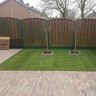 BHG Sierbestrating