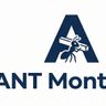 ANT montage