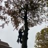 BK Tuinonderhoud