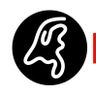 DakspecialistNL B.V