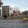 Alblasserwaard Tuinprojekten