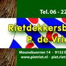 Pieter de Vries