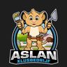 Aslan Klusbedrijf