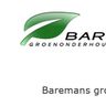 Baremans groenonderhoud en bestratingen