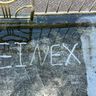 ReineX