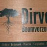 Dirven boomverzorging