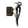 Woodpecker