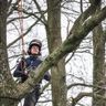 Wisse Boomverzorging