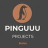 Pinguuu Projects
