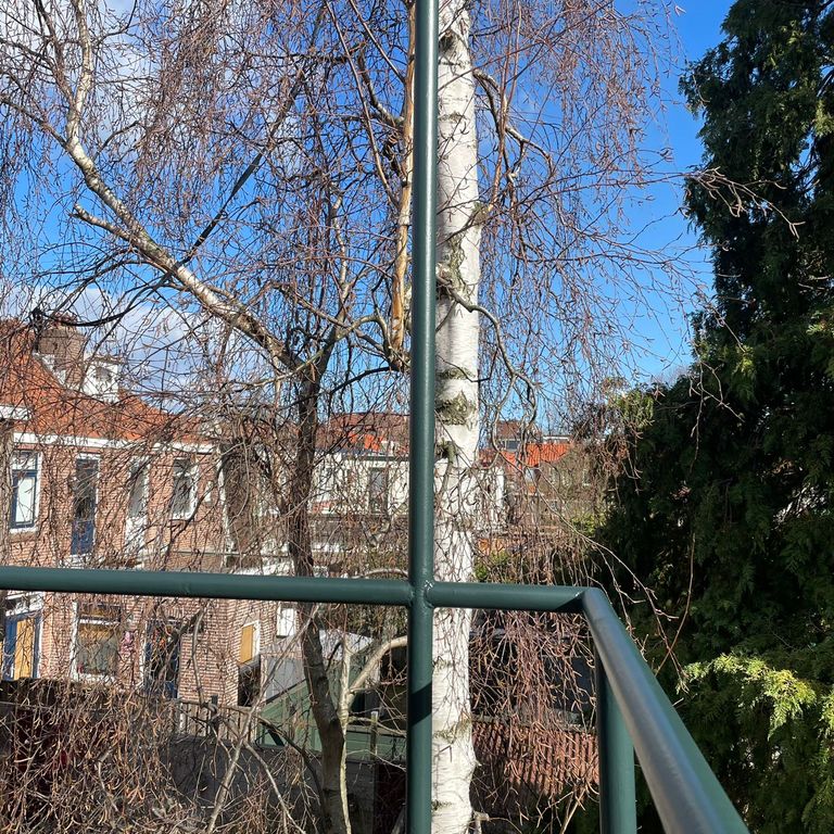 Schilderwerk buiten: metalen balkonframe en schutting