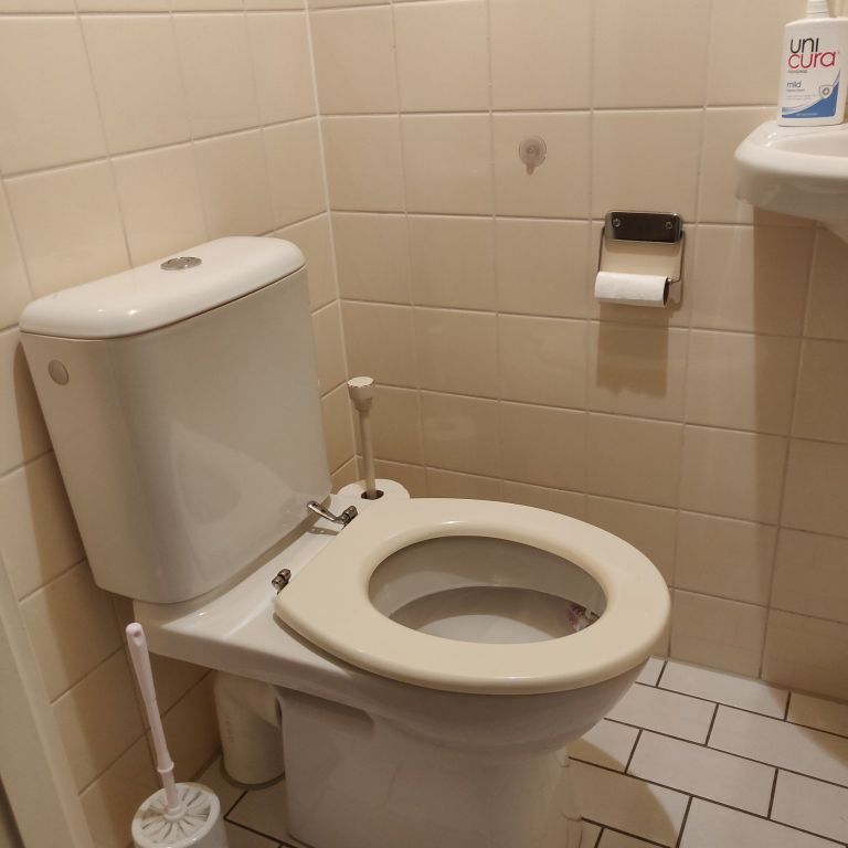 Sanitair plaatsen of vervangen: Toilet; Sanitair plaatsen, Aanschaf...
