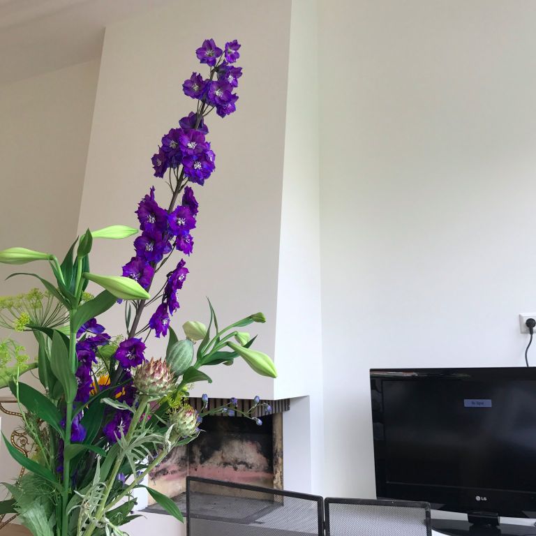 Woning schilderen