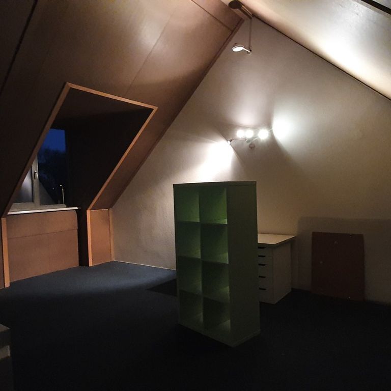 Binnenschilderwerk: Plafonds