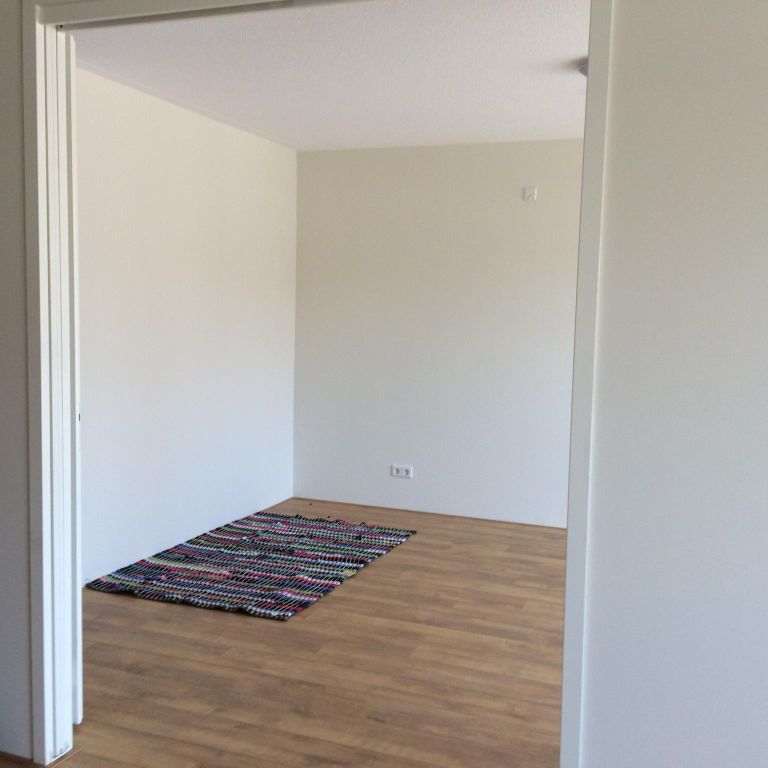Kale muren in lege flat schilderen ca. 100 m2