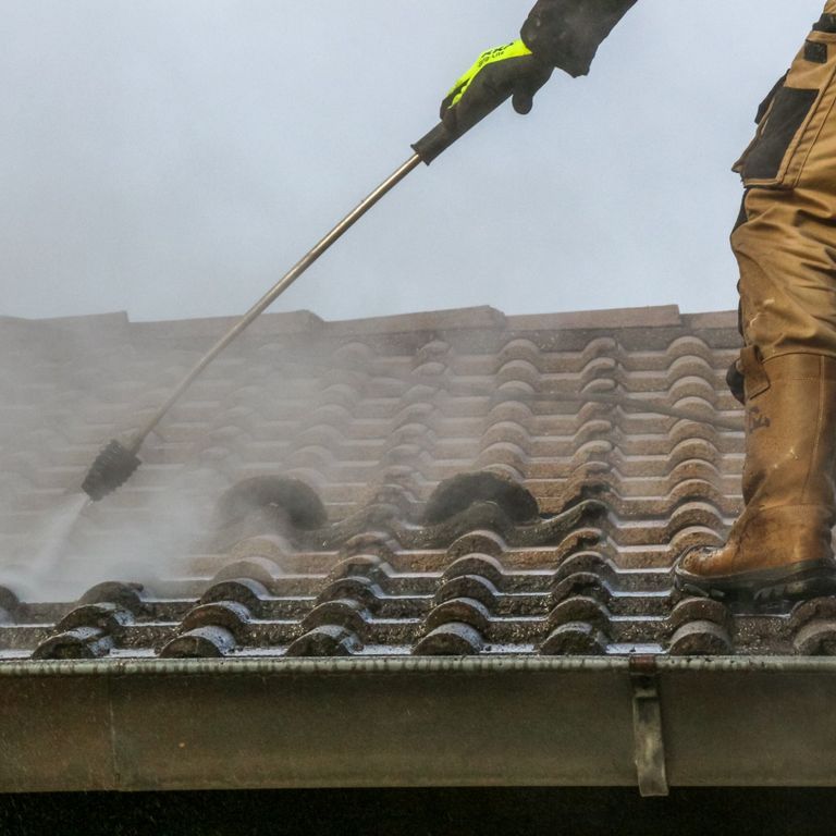 Dak of dakgoot repareren: 1 m2; Dakgoten; Reparaties