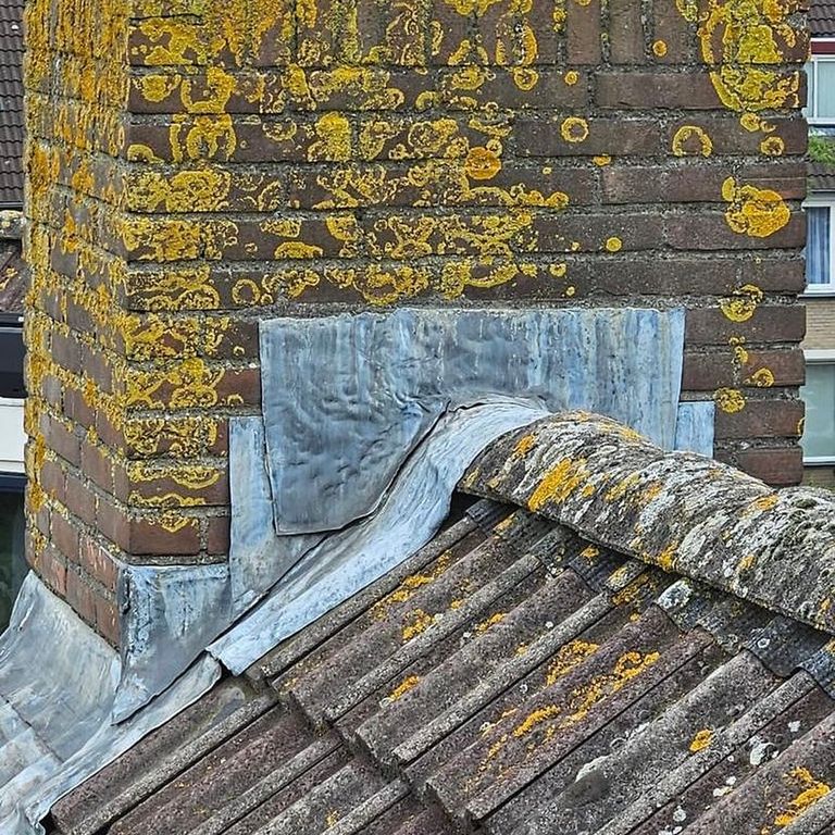 Dakrenovatie: 18 m²; Reparatie werkzaamheden