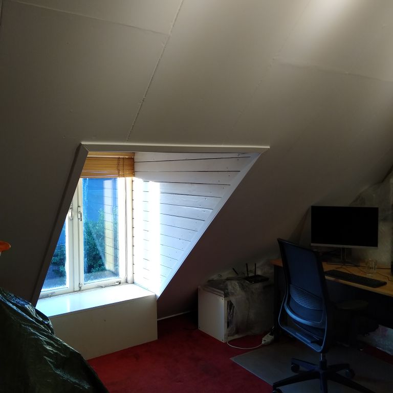 Dakraam of lichtkoepel plaatsen: 1 raam; Dakraam plaatsen, Dakkapel...