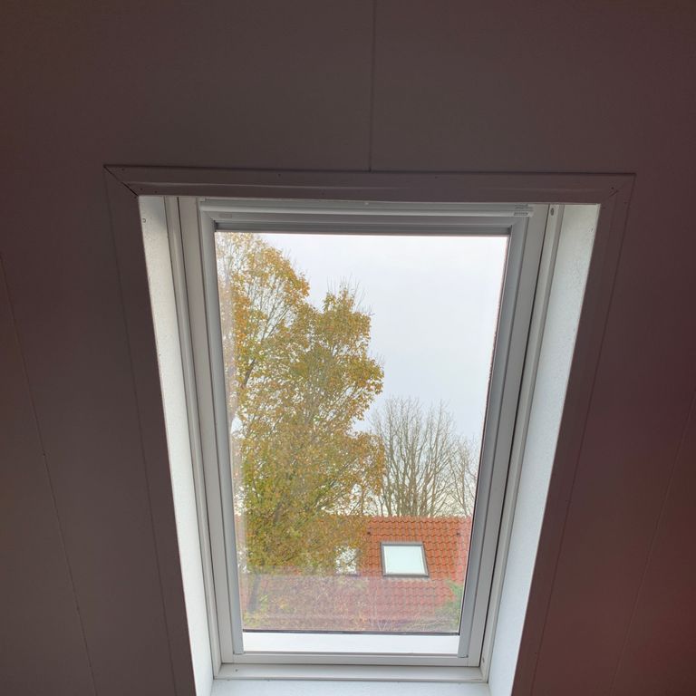 Dakraam of lichtkoepel plaatsen: 1 raam; Dakraam plaatsen