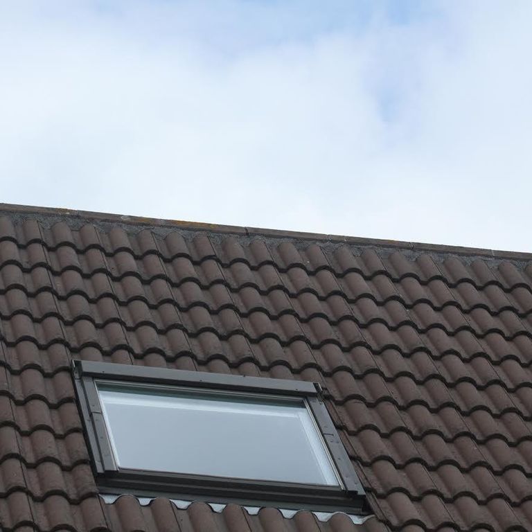 Lekkage door nokvorsten vervangen of repareren