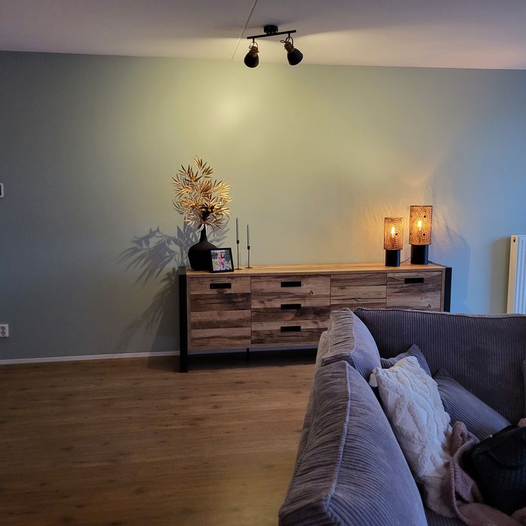 Binnenschilderwerk: 20 m² wanden; Woonkamer