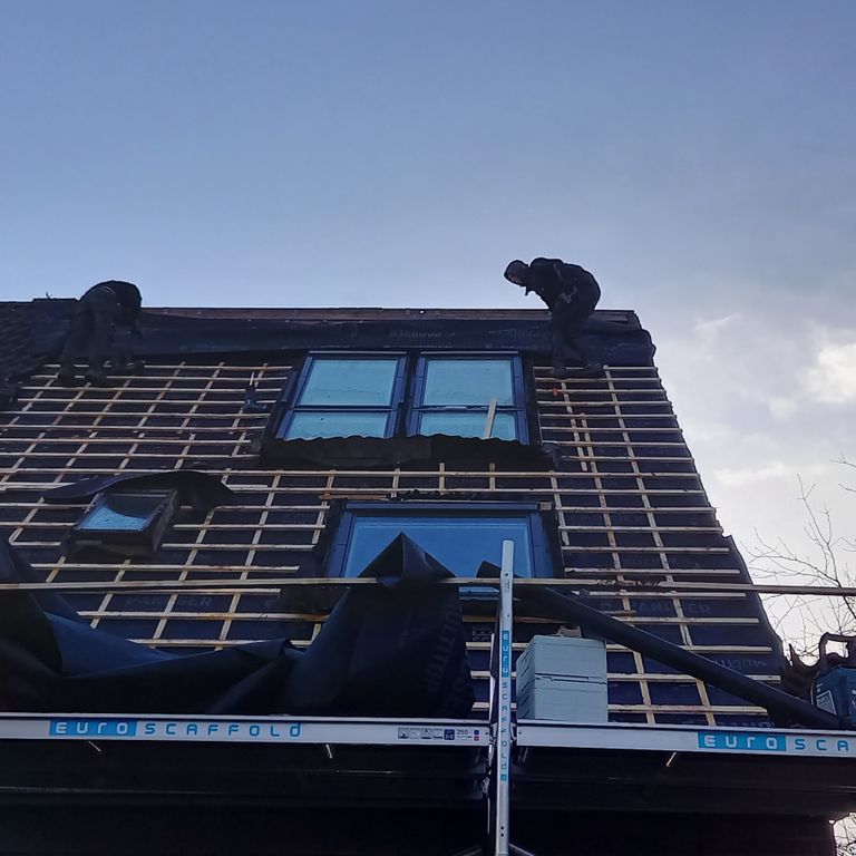 Dakrenovatie: 50 m²; Dakpannen of dakbalken vervangen; Puntdak (off...