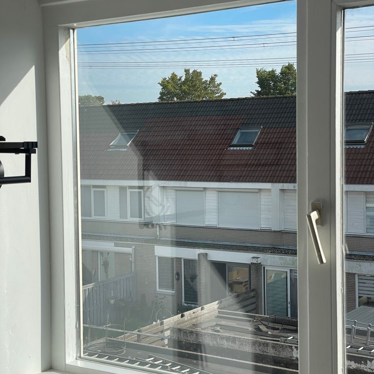 Glas zetten: 1 ruit