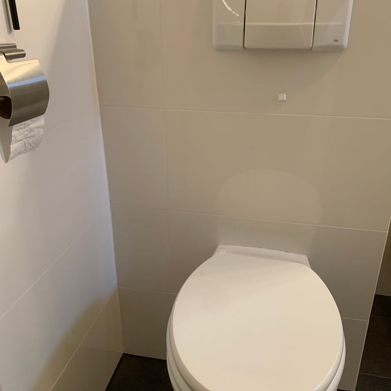 Toilet repareren: Doortrekken werkt niet