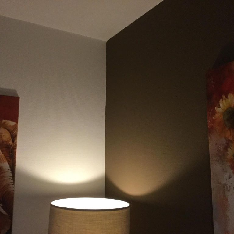 Sauzen muren woonkamer, keuken en plafond. Ongeveer. 100 m2,verven...