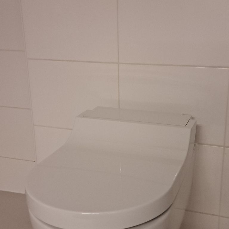 Toilet repareren: plaatsen nieuw hang toilet