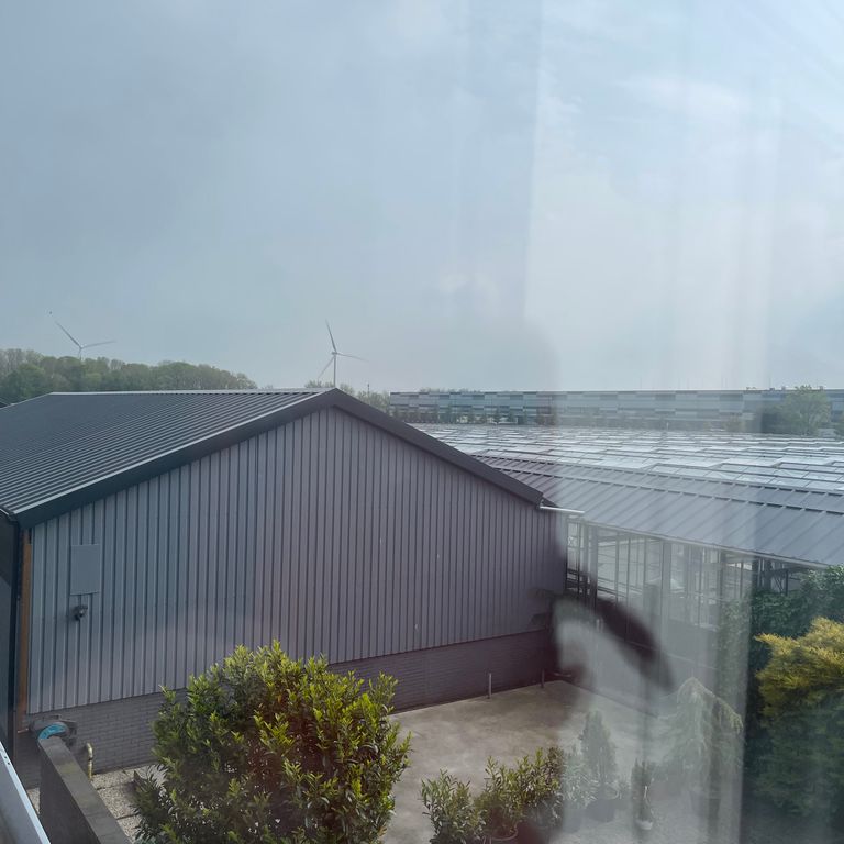 Dakrenovatie: Dakbedekking vervangen; Puntdak