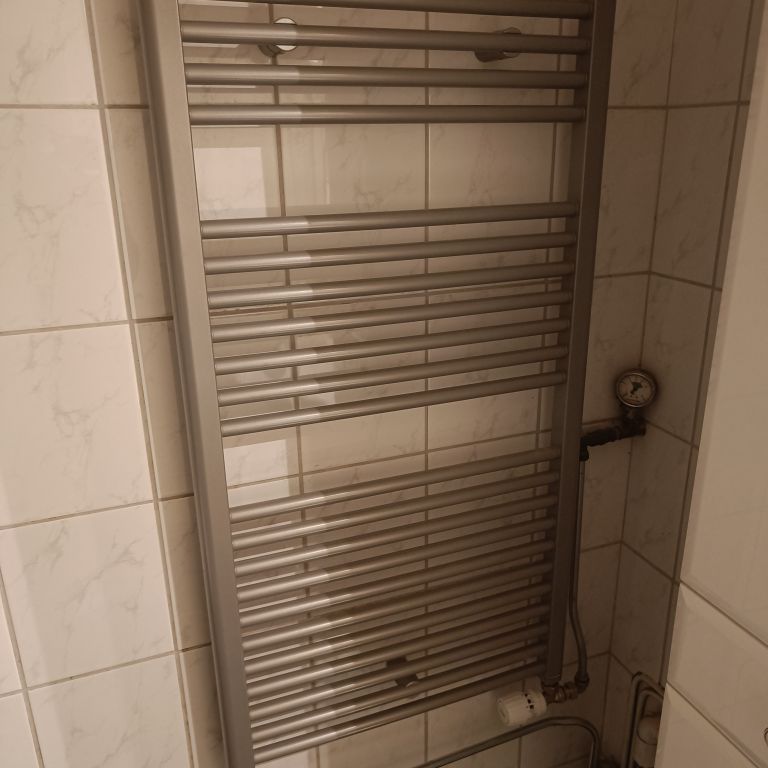 Radiatioren plaatsen of vervangen: 1 radiator; Nieuwe radiatoren pl...