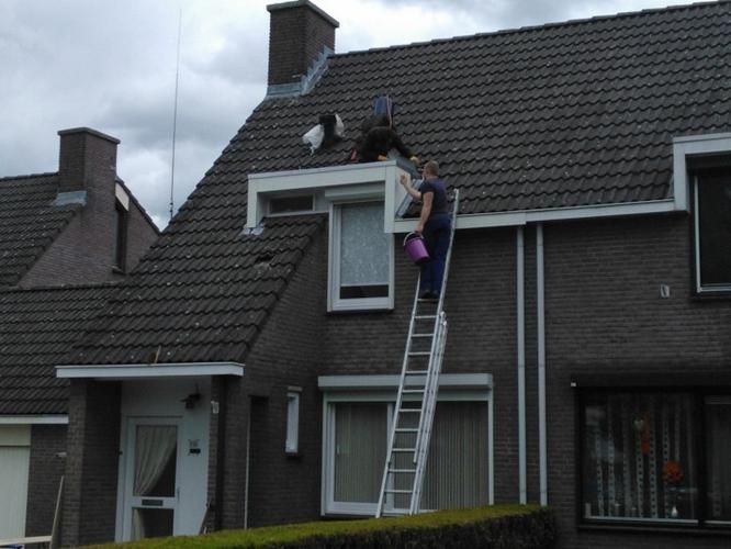 Betimmering vervangen