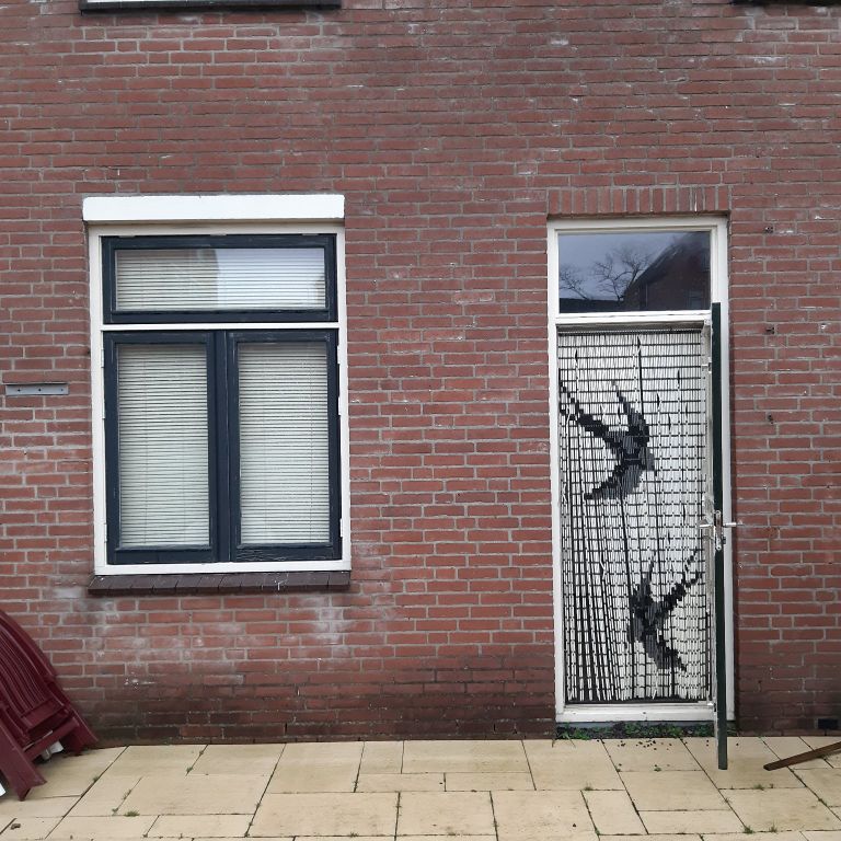 Tuindeuren: 2 deuren; Aanschaf van de deur, Installeren, Verwijder...
