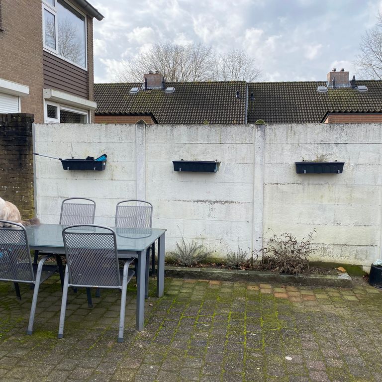 Schilderwerk buiten: Stenen en betonnen muur tuin en tuinpoort; 1 deur
