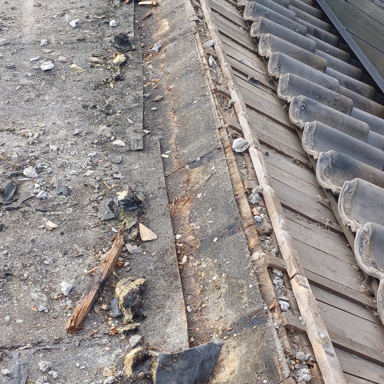 Dakrenovatie: 6 m²; Dakrenovatie; Plat dak