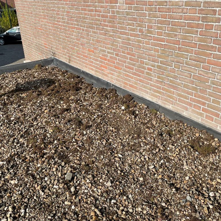 Dakrenovatie: 25 m²; Dakbedekking vervangen; Plat dak