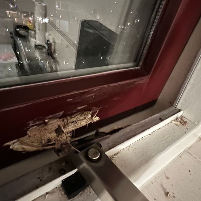 Raamkozijnen: Badkamer raam