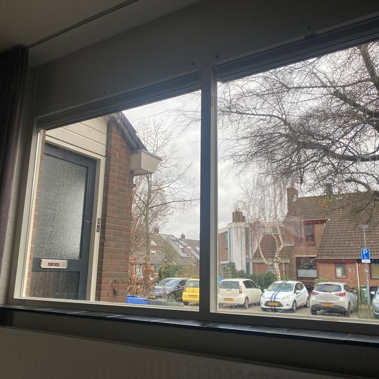 Glas zetten: 2 ruiten