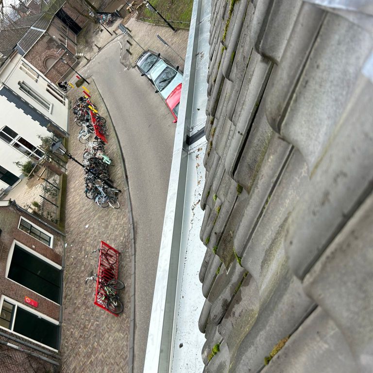 Dakgoot: 12 m; Installeren, Vervangen