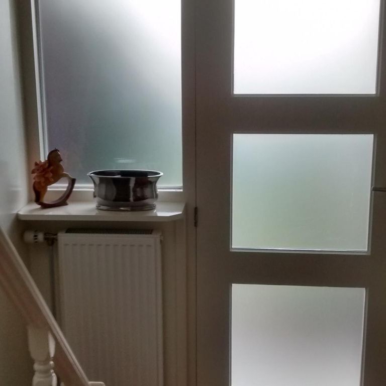 dubbel glas plaatsen gelaagd en mat