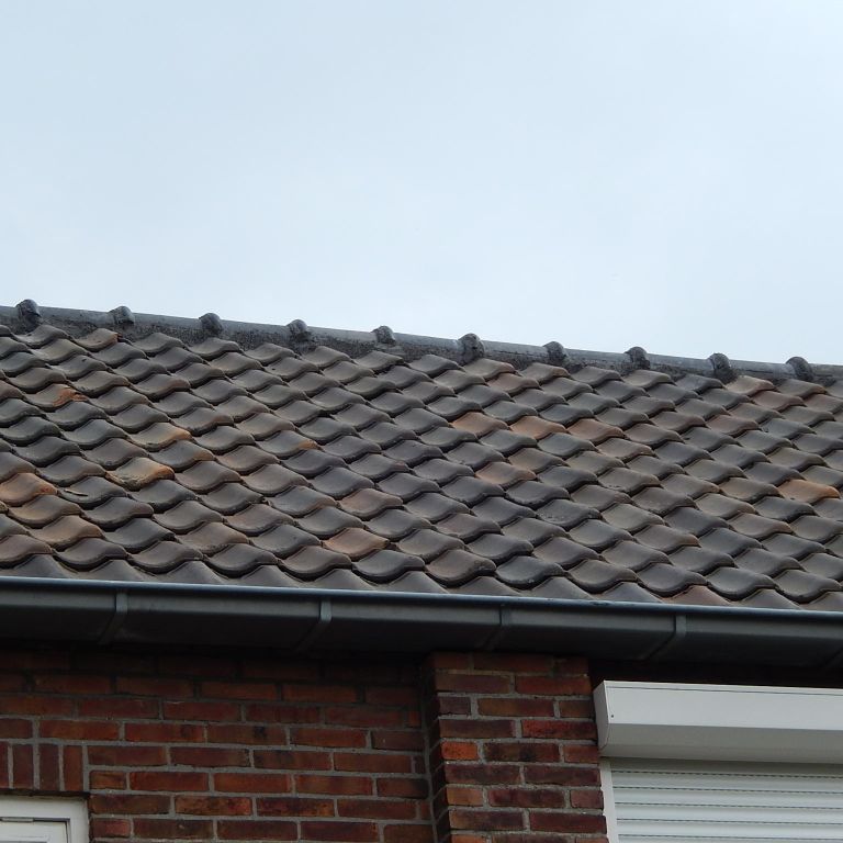 Nokvorst reparatie+ vervangen 1e dakpan (1st)