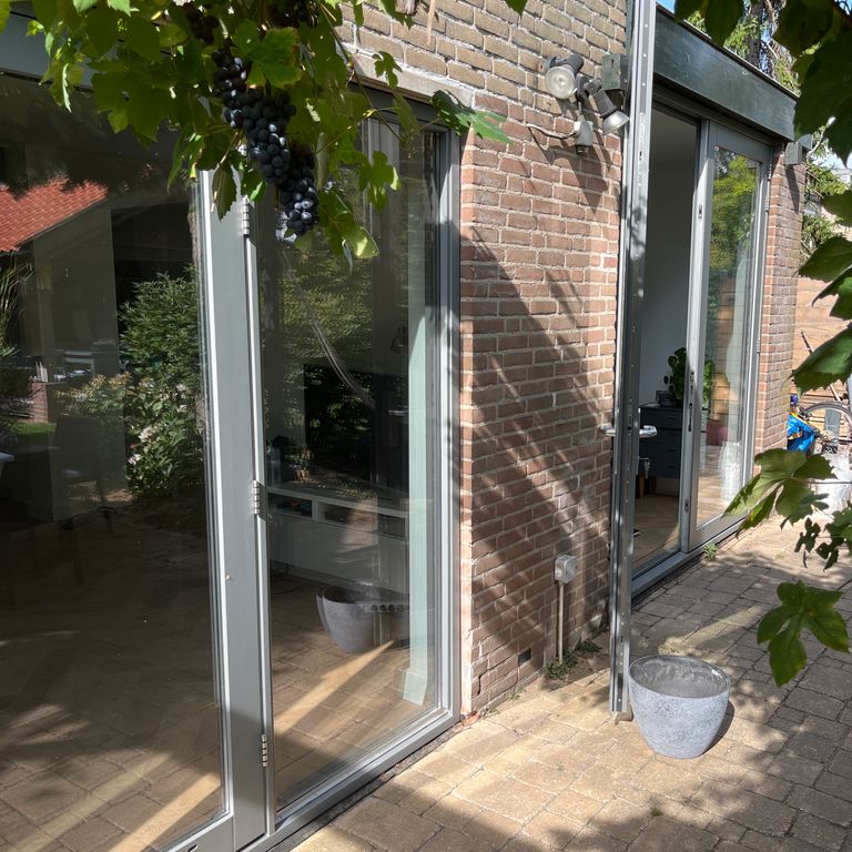 Tuindeuren: 2 deuren; Schuifpui vervangen door openslaande deuren m...
