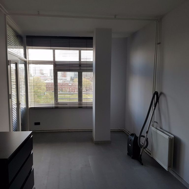 schilderen plafond (50m2), schilderen muren (140m2), schilderen koz...