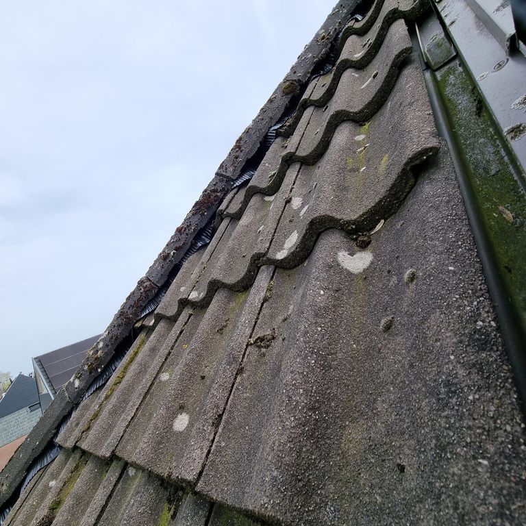 Dakrenovatie: Reparatie werkzaamheden; Puntdak