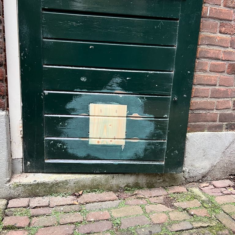 Kattenluik