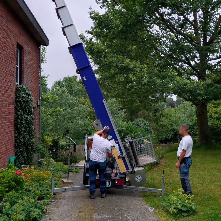 Dakrenovatie: Dakrenovatie; Plat dak