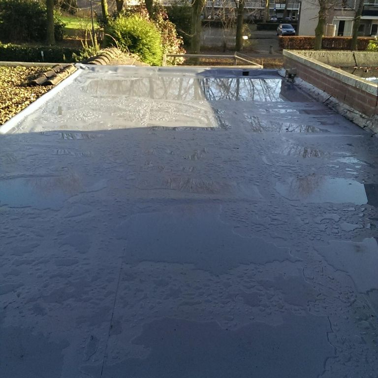 Inspectie en Reparatie lek bitumen dak garage